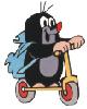 Uživatelský avatar